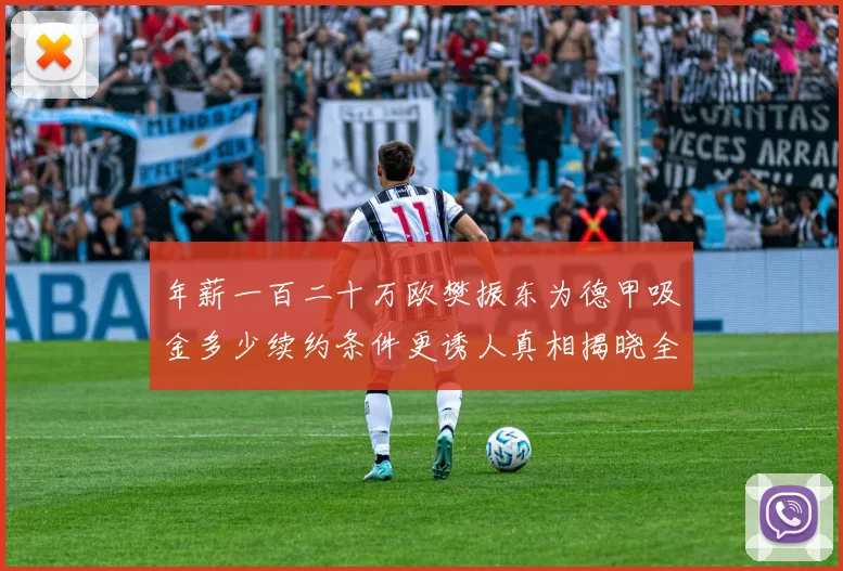 年薪一百二十万欧樊振东为德甲吸金多少续约条件更诱人真相揭晓全貌